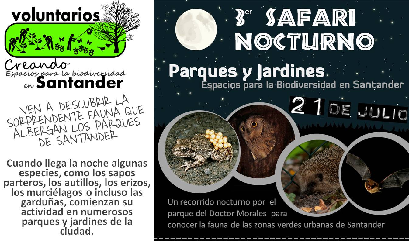 Cartel de Safari nocturno por el Parque del Doctor Morales