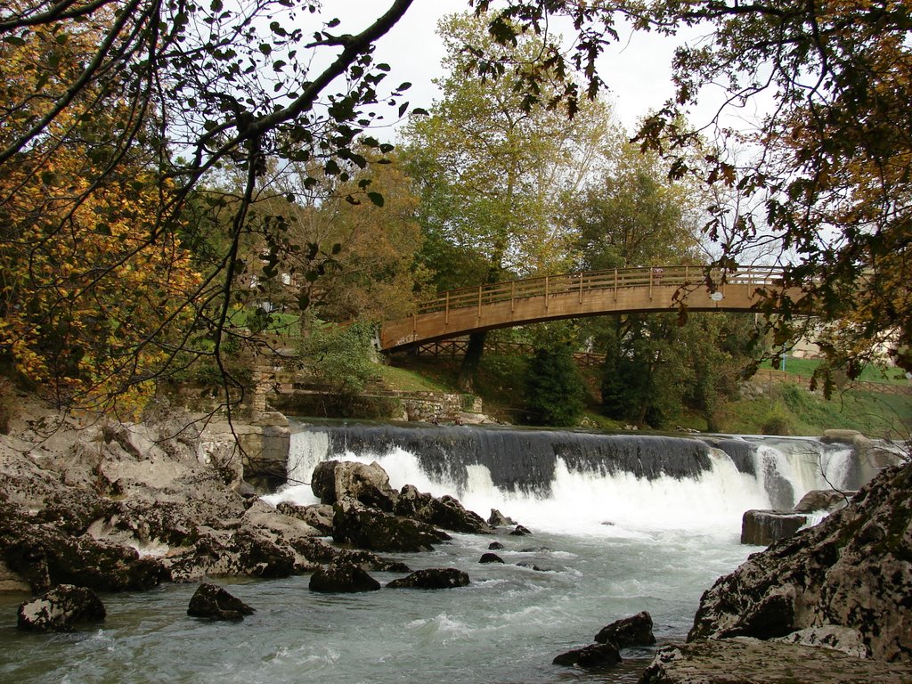 Cartel de Eliminación de plumero de la ribera del Río Pas en Puente Viesgo