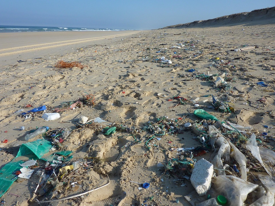 Cartel de ELIMINACIÓN DE RESIDUOS: limpieza en la playa de Somo